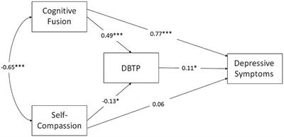 Deviations from the balanced time perspective, cognitive fusion, and self-compassion in individuals with or without a depression diagnosis: different mean profiles but common links to depressive symptoms